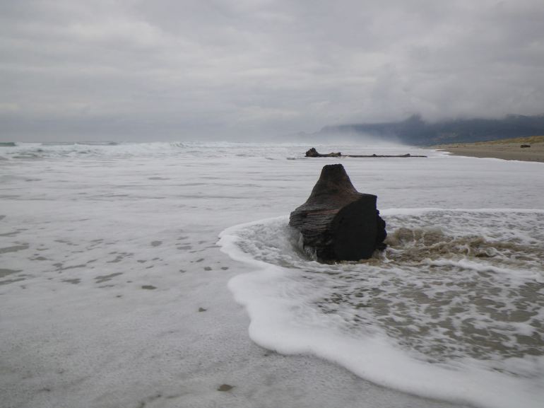 Drift log soaked in swash