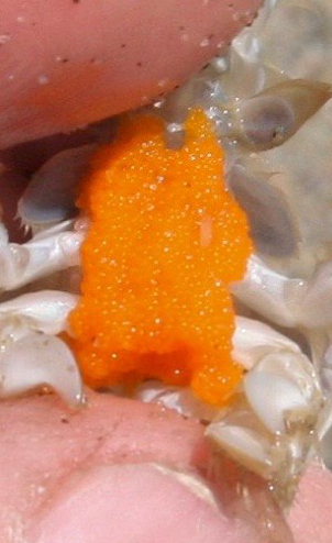 36874372841_e391a993c5_z