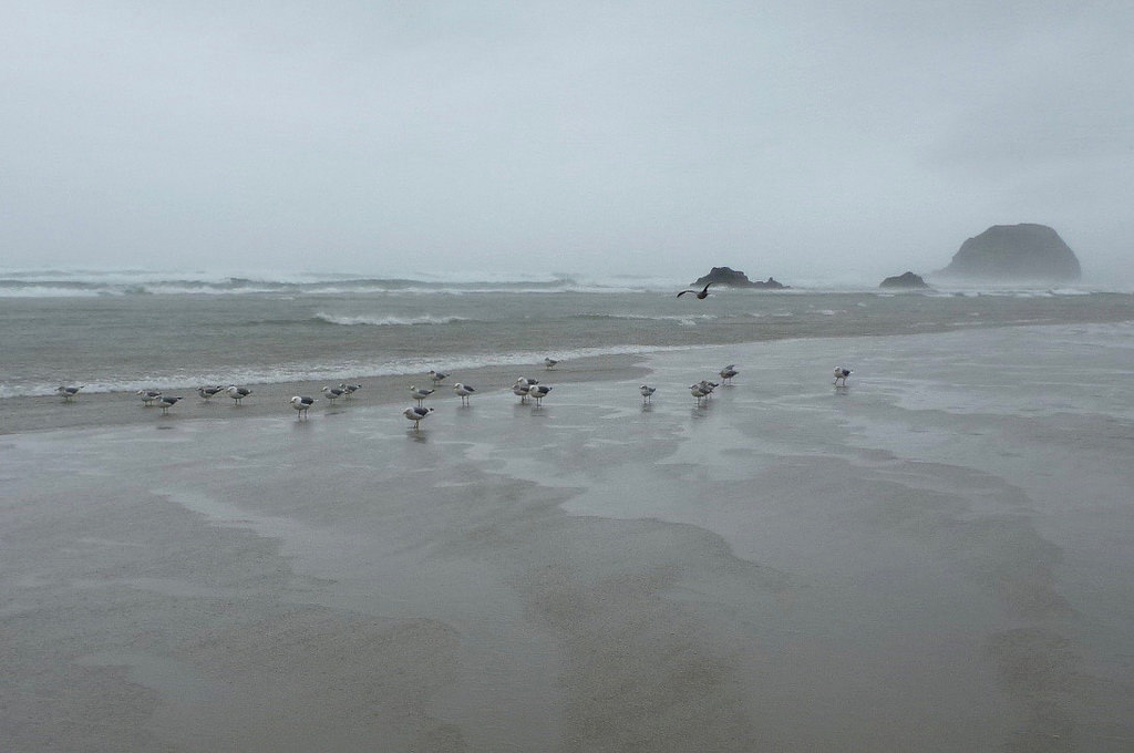 37388964726_b0d7ab3980_b