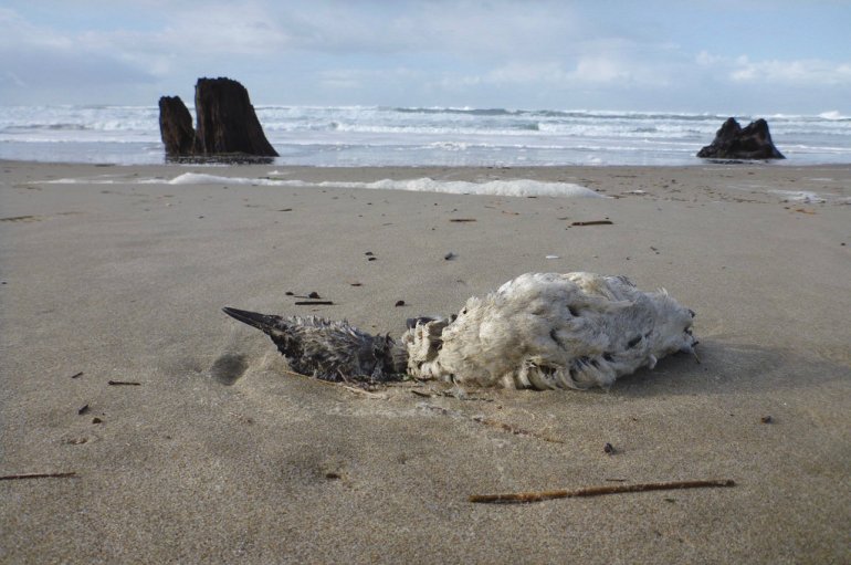 37298432600_6ed5e17f1a_b