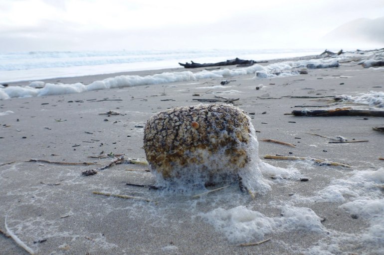 37298433010_b2b36172ca_b