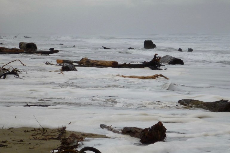 37298433420_83435db73f_b