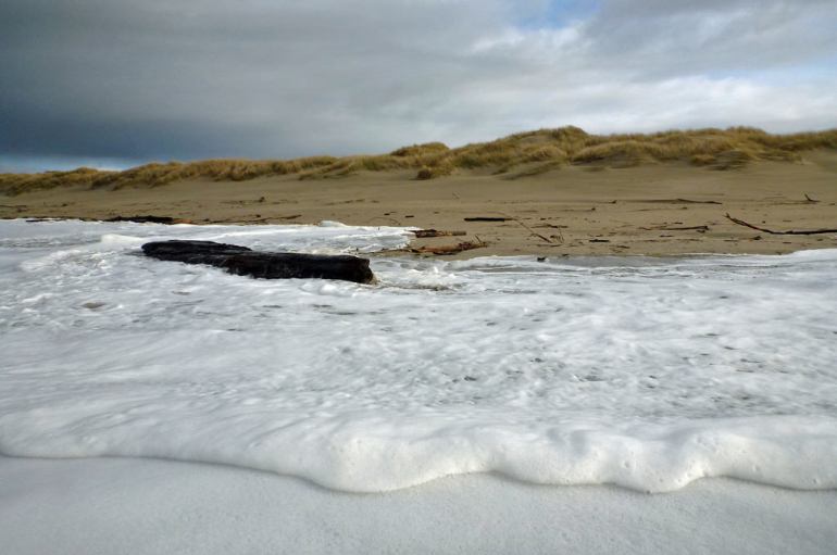 37298433660_318c1128b0_b