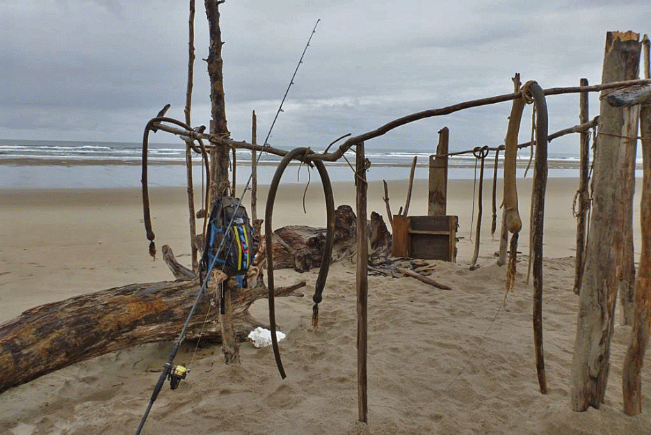 buch of sticks and kelp in the sand make a good sized fort on the beach