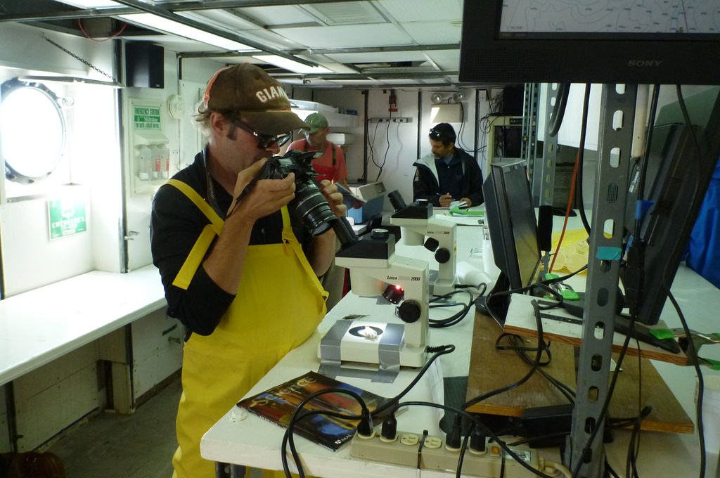 37813030926_73d2360229_b