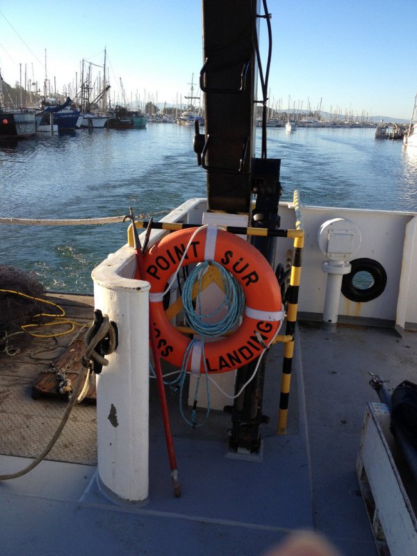 heading out of thee harbor, orly morning sunshine