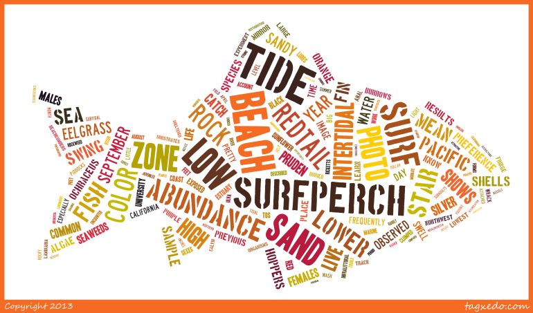 Last 20 posts_181113