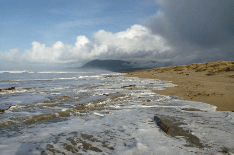 Surge from a 10.0' high tide pushes up into the wrack line, January 20, 2015