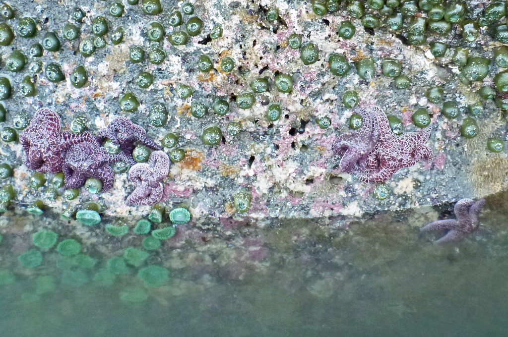 17270353598_f9480d8351_b