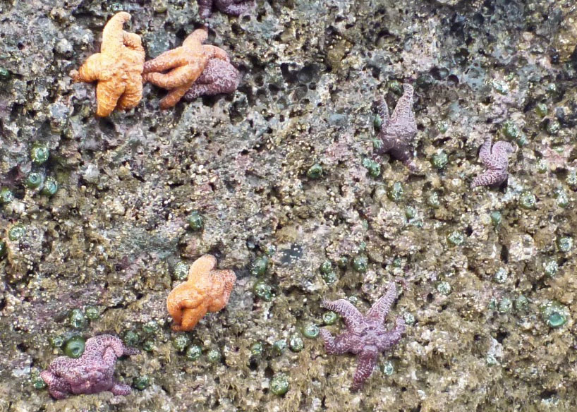 17270412788_7f8c7f3d95_o