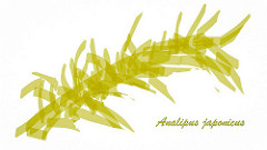 36888542784_ae2a5af936_m