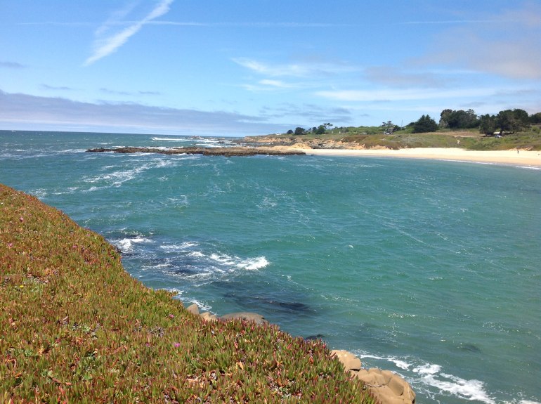 Bean Hollow from cliff