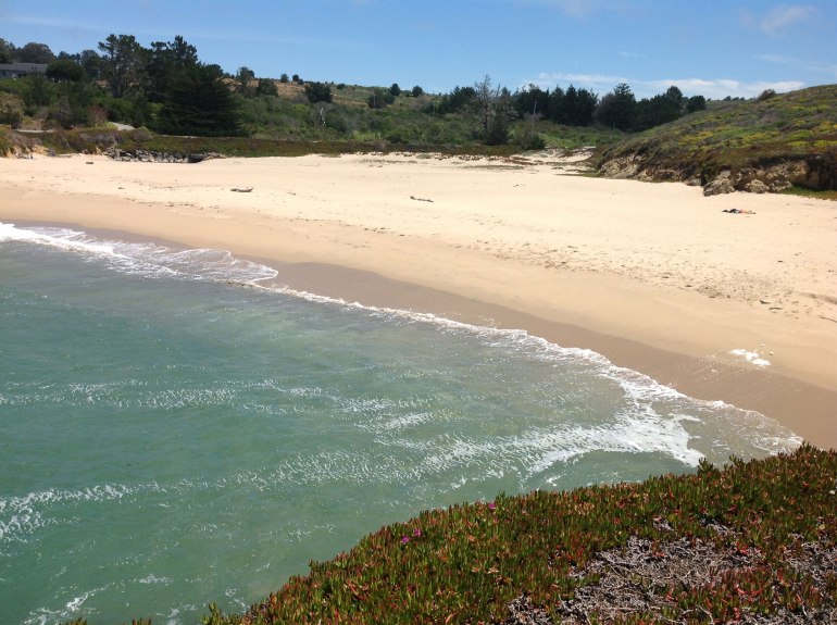 Another Bean Hollow from cliff