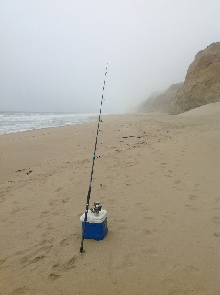 Morning at N Pescadero