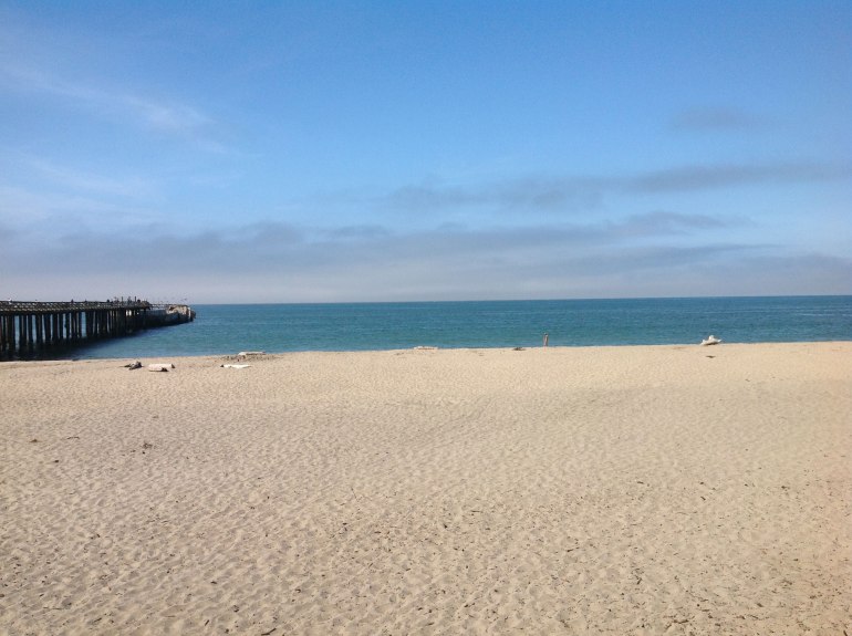 Seacliff State Beach