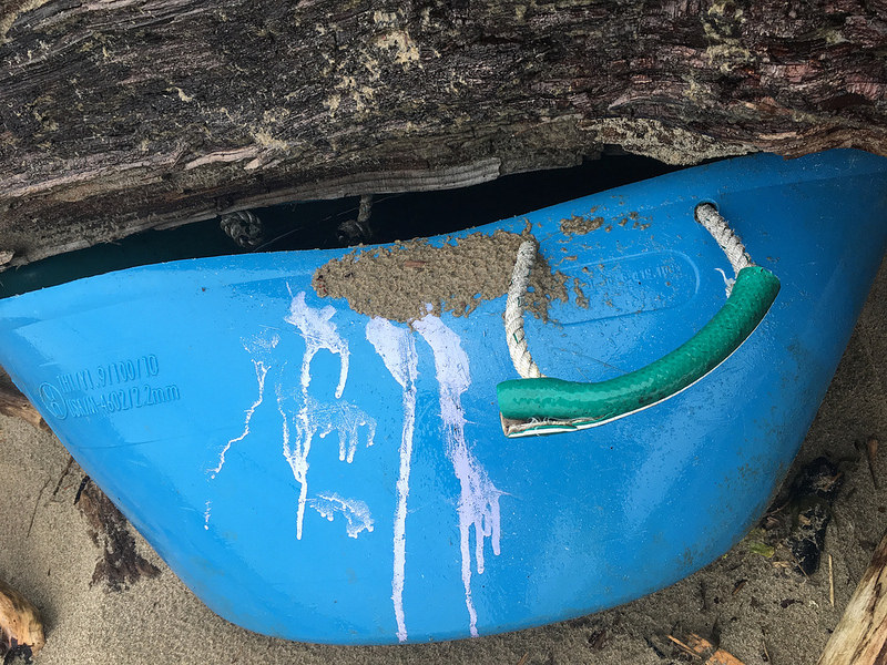 Blue plastic fish tub from a commercial boat