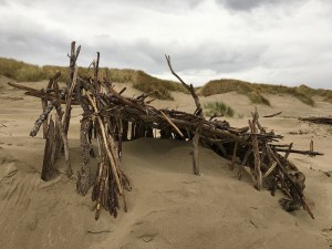 Driftwood fort against the foredune