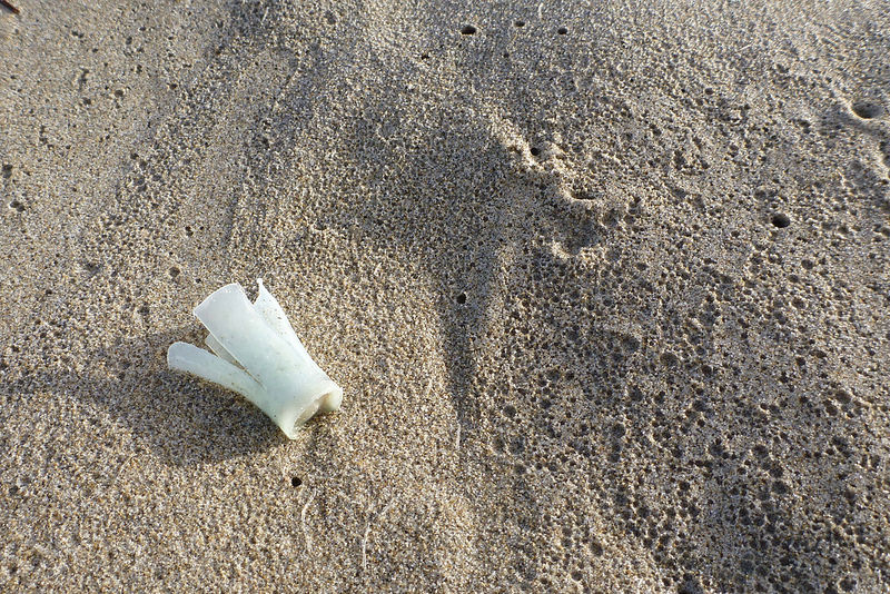 A component of a shotgun shell, common in the drift line