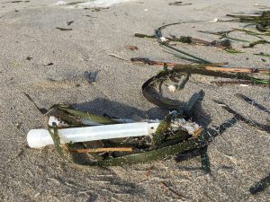 chemical glow sticks, lost fishing gear