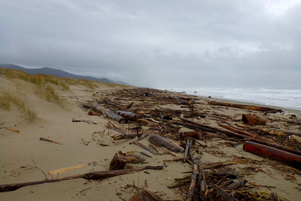 The Dynamic Wrack Line – theoutershores