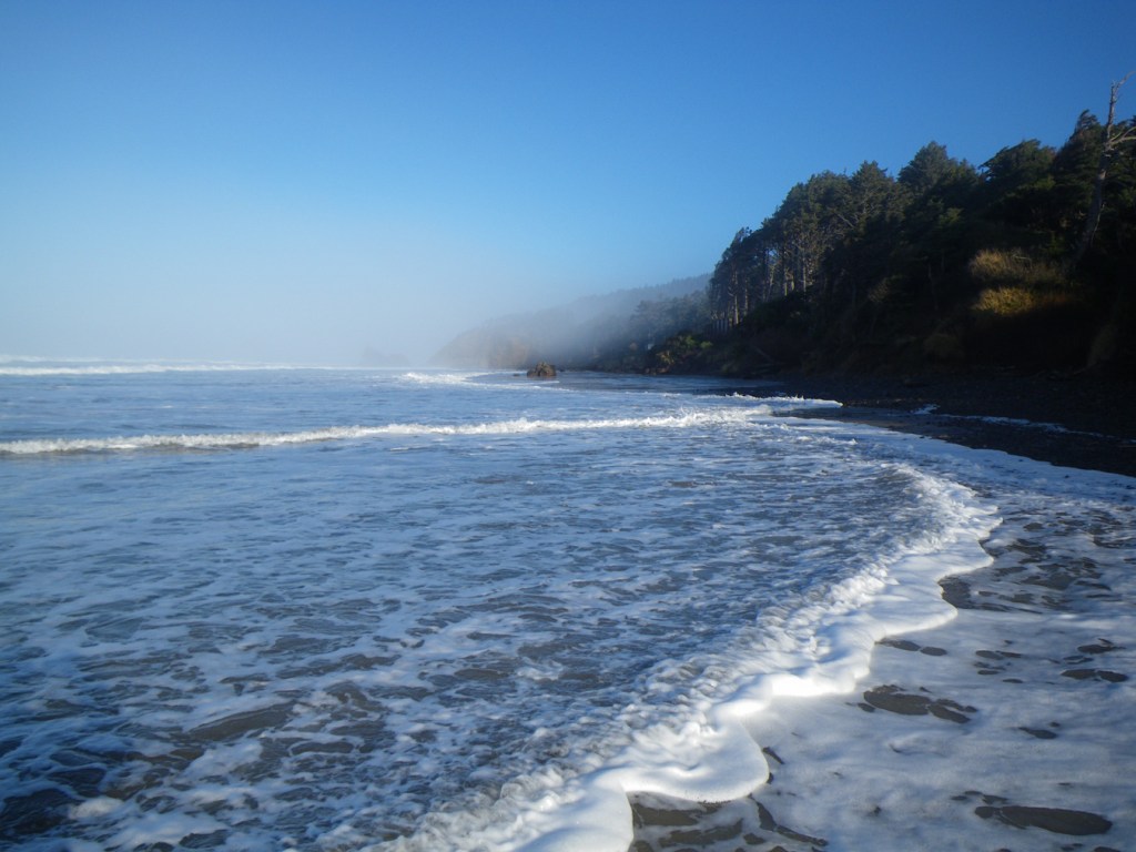 Beachscape at high tide. Surf rolling in from the left, Forested coastal bluffs in the right.