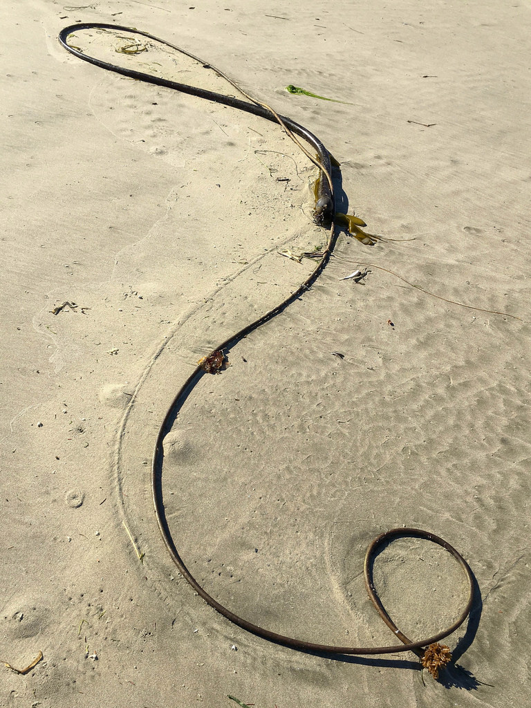 32326435791_58de181c4f_b