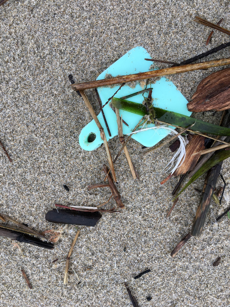 Blue tag on drift line sand