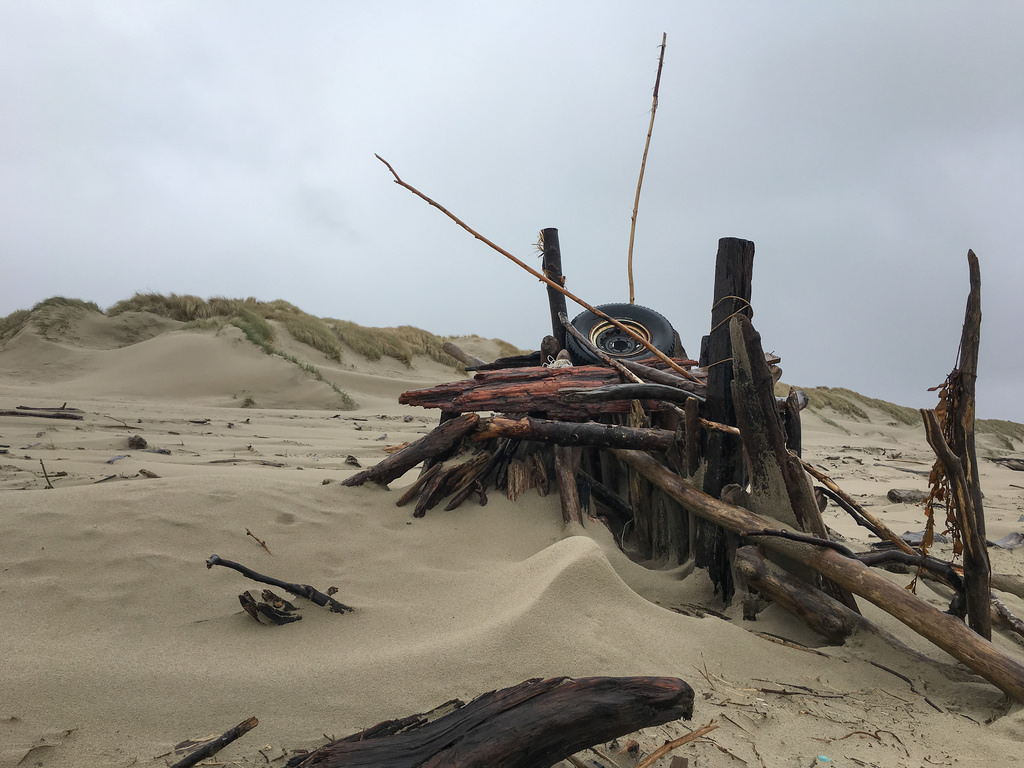 Driftwood fort, logs old tire, drift algae - foredune in the background