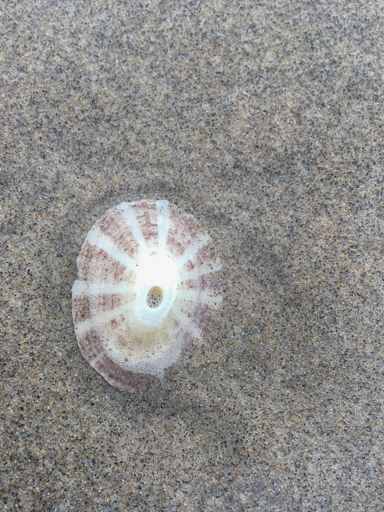 upper surface on sand
