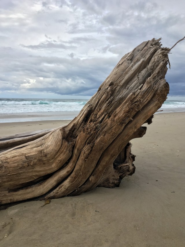 Big drift log just above the surf