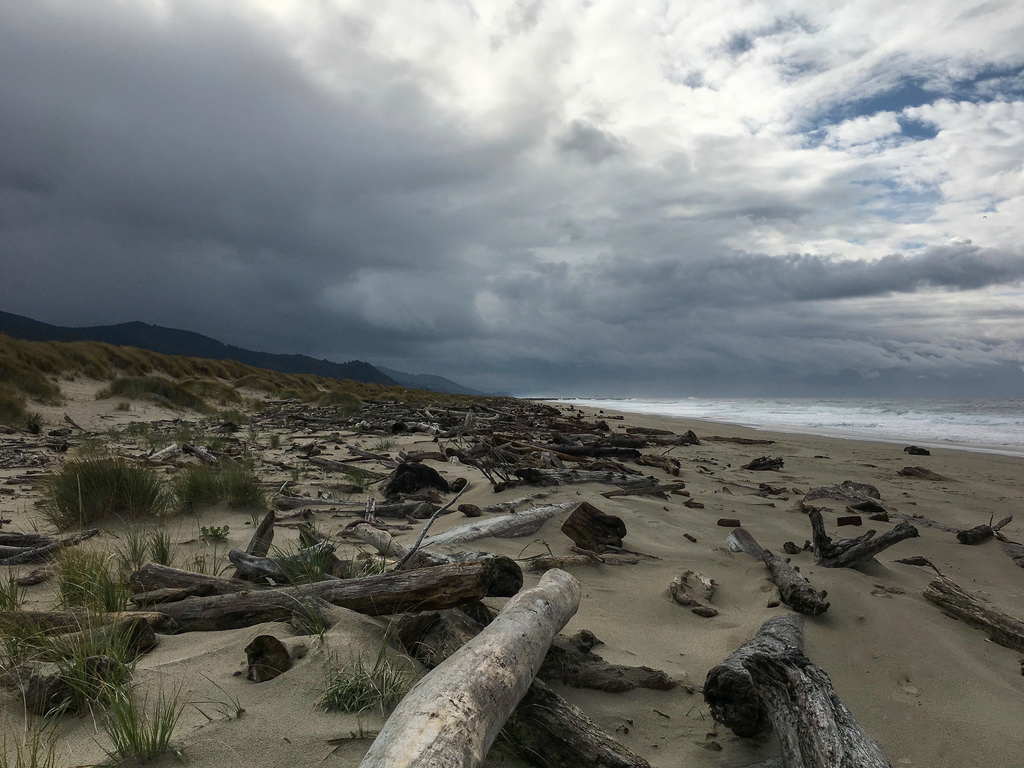 Up on the backshore, foredune and surf zone in the background