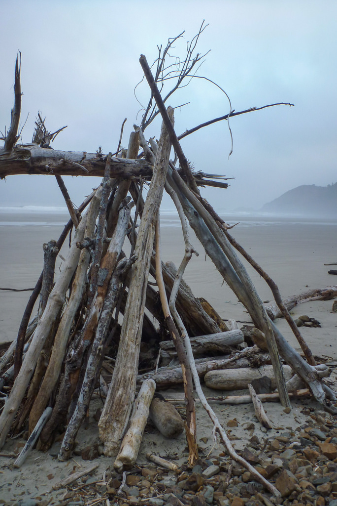 A-frame driftwood shelter