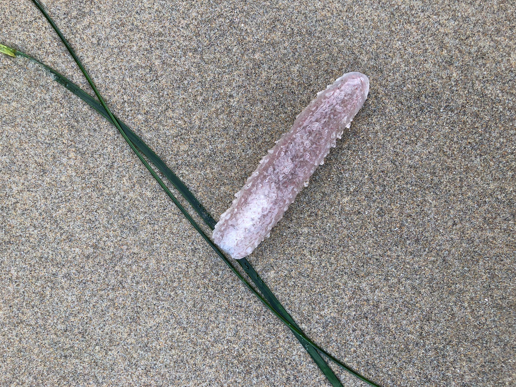 Detail on beach sand