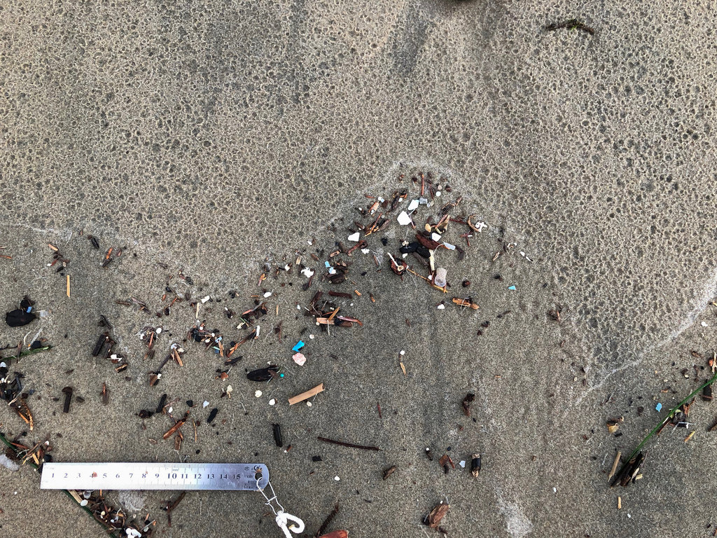 Raindrops and drift fragments on wet sand