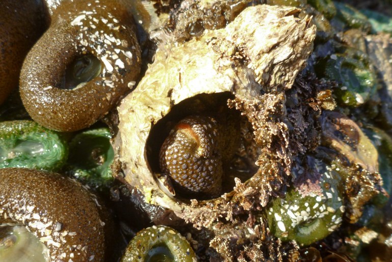 33532156360_9474d371c7_b