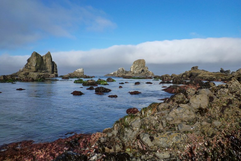 34135707922_c3709b4c4f_b