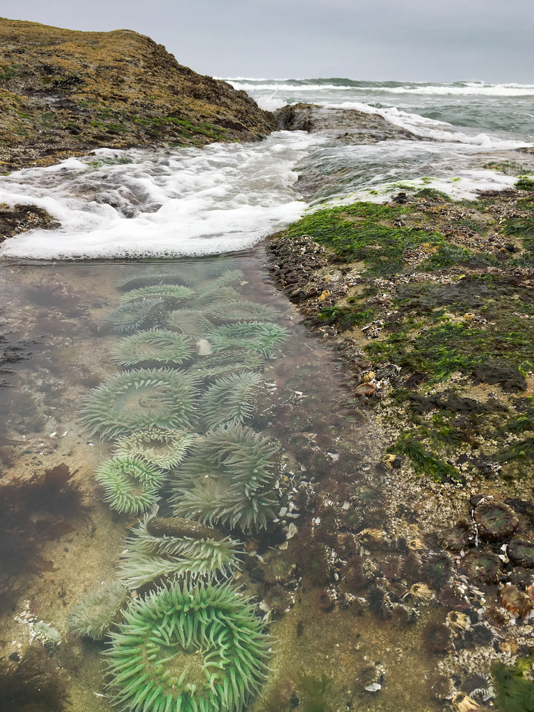 34712184312_dd8018531a_b