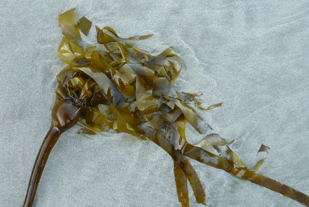 float and blades on sand