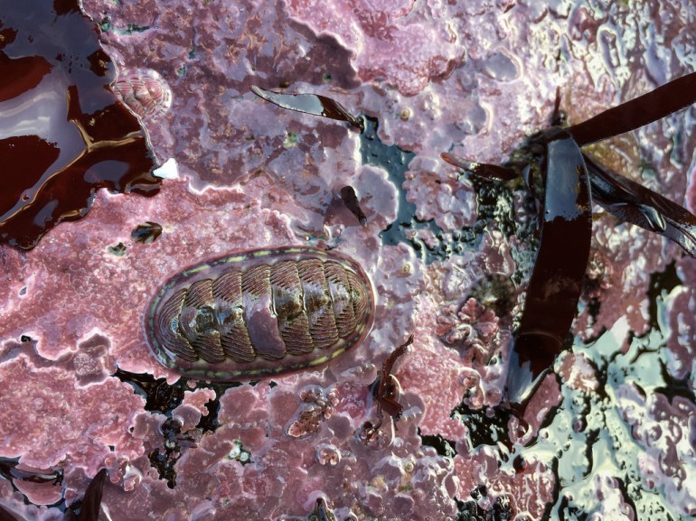 37432542405_33a1bf984a_b