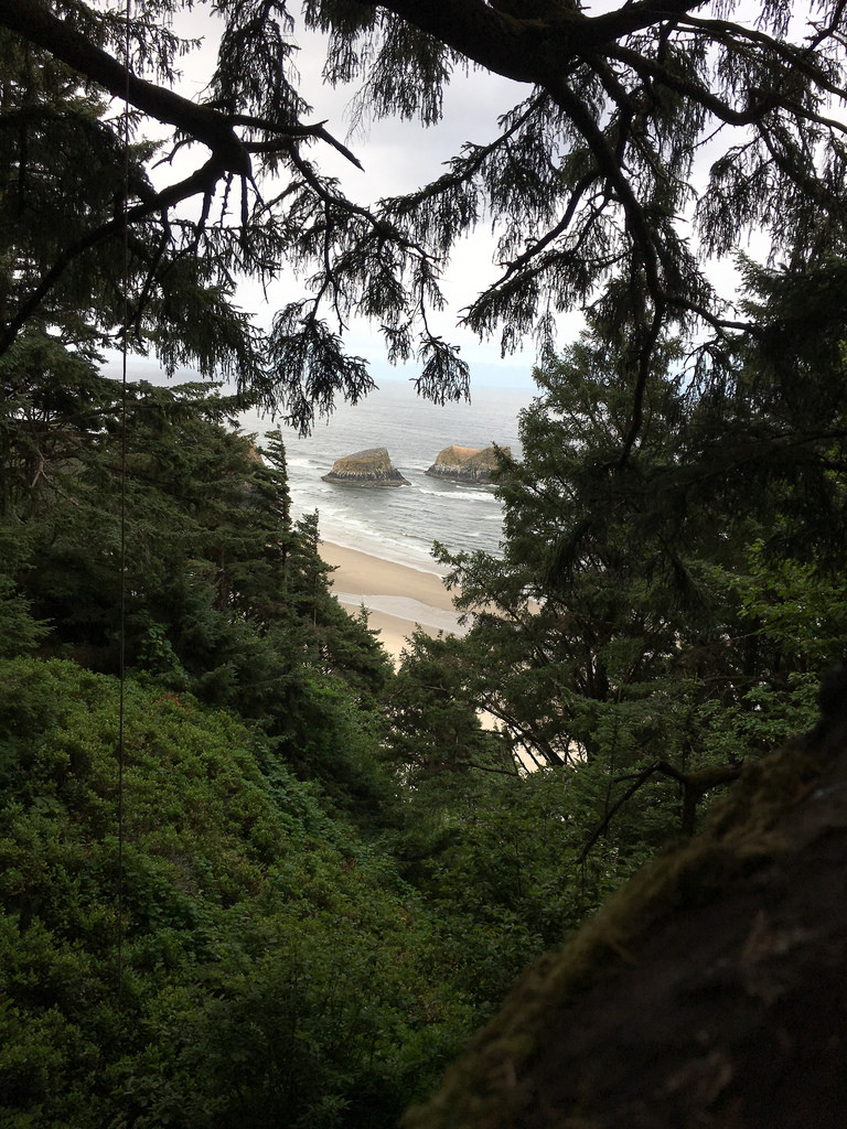 37714305221_b78e326b73_b