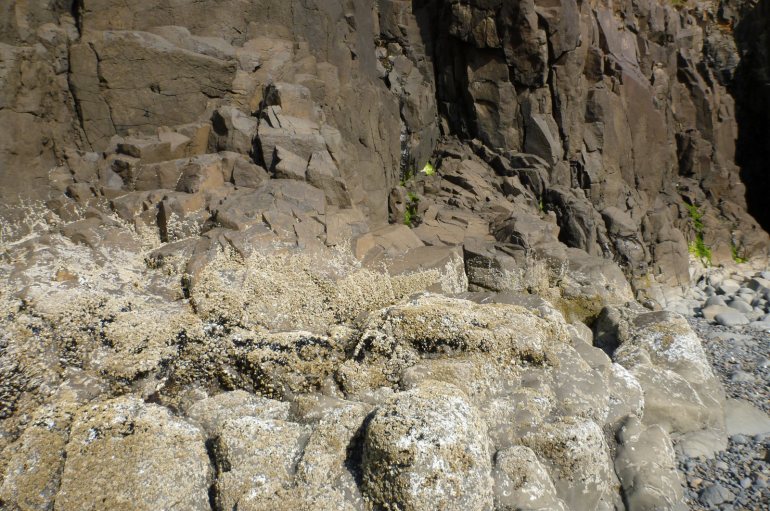 38438879122_0f25e33044_h