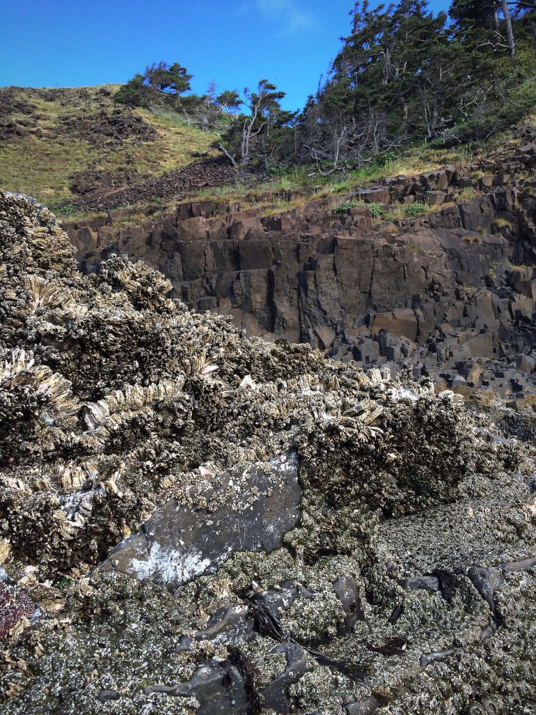 38470448541_6990968878_h