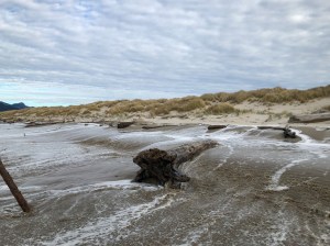 A receding wave, one that almost got up onto the backshore shelf