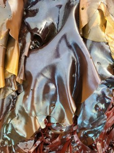 Iridescent blades hanging down