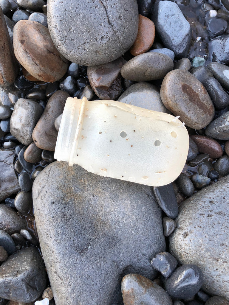 Lidless plastic bait jar on the cobbles