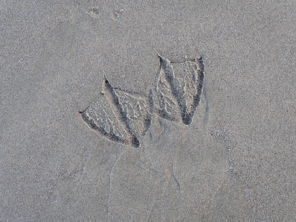 Just a right and a left, sided by side