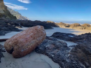 A big rounded off log up in high intertidal rocks