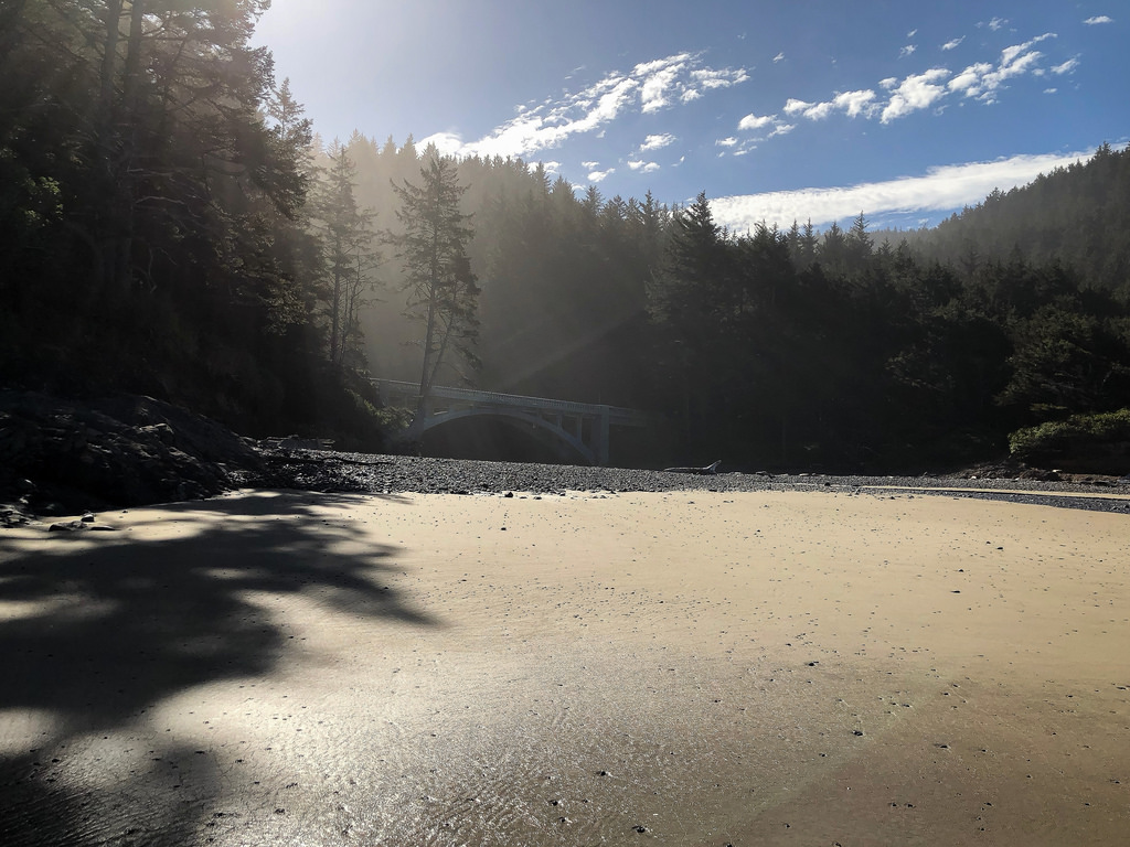 Beach, cobbles, forest