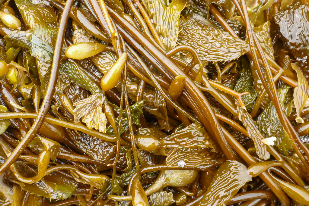 intimate view of a drift mass