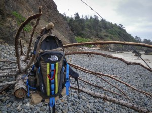 Pack hanging on the branches of a small drifted tree